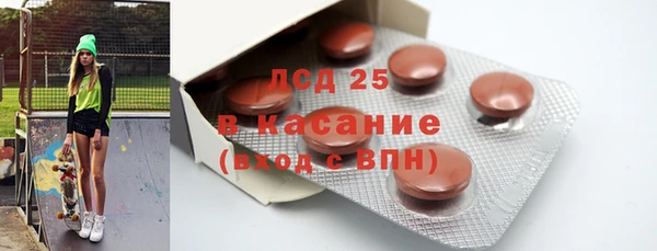 индика Абаза