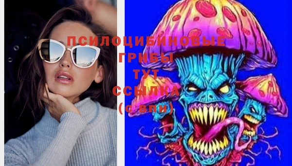 индика Абаза