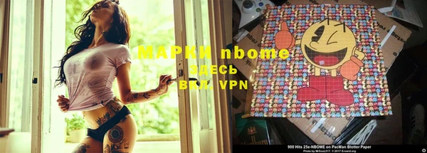 индика Абаза