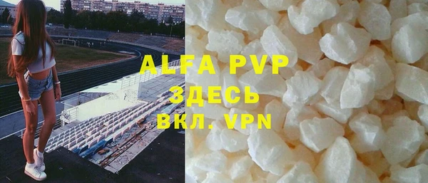 индика Абаза