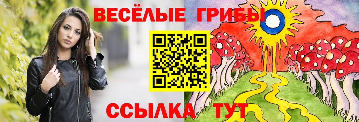 Псилоцибиновые грибы Psilocybe Азов